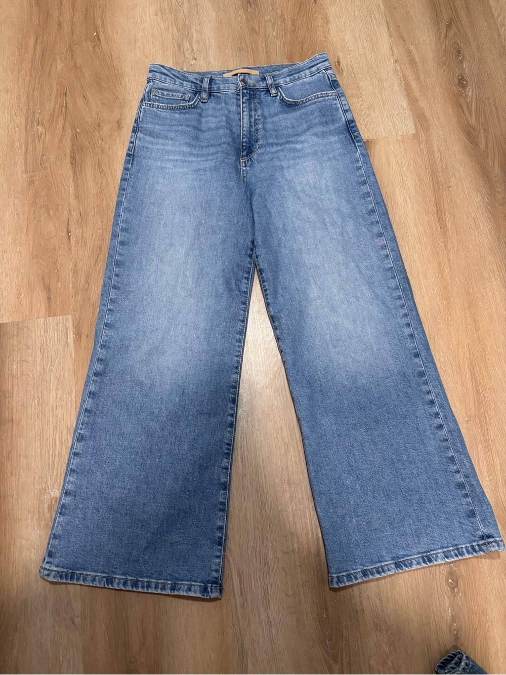 Joe's Jeans The Mia High Rise Wide Leg Ankle Jeans Blue Raw Hem | Size 28 - Picture 3 of 6
